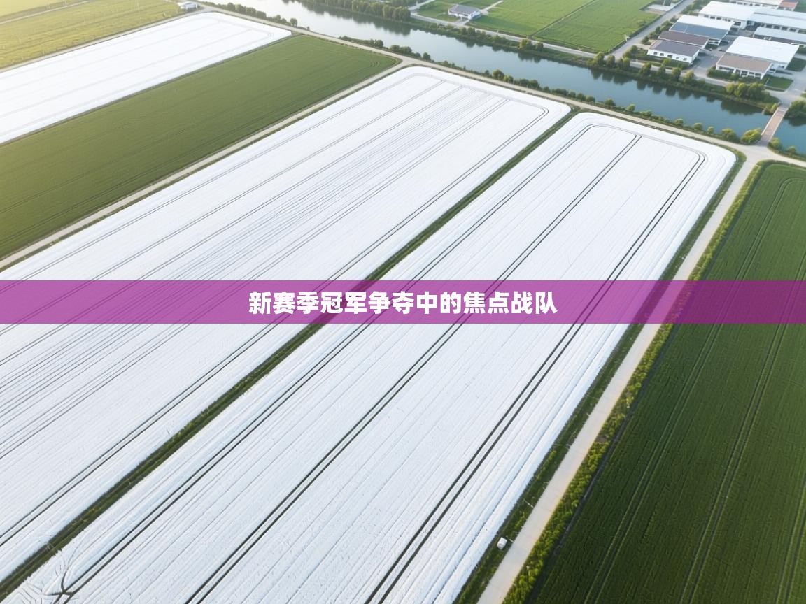 新赛季冠军争夺中的焦点战队 第1张