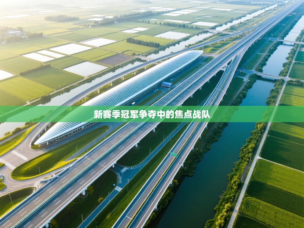 新赛季冠军争夺中的焦点战队 第2张