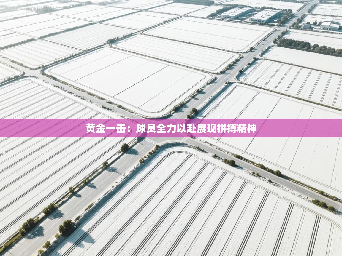 黄金一击:球员全力以赴展现拼搏精神 第2张