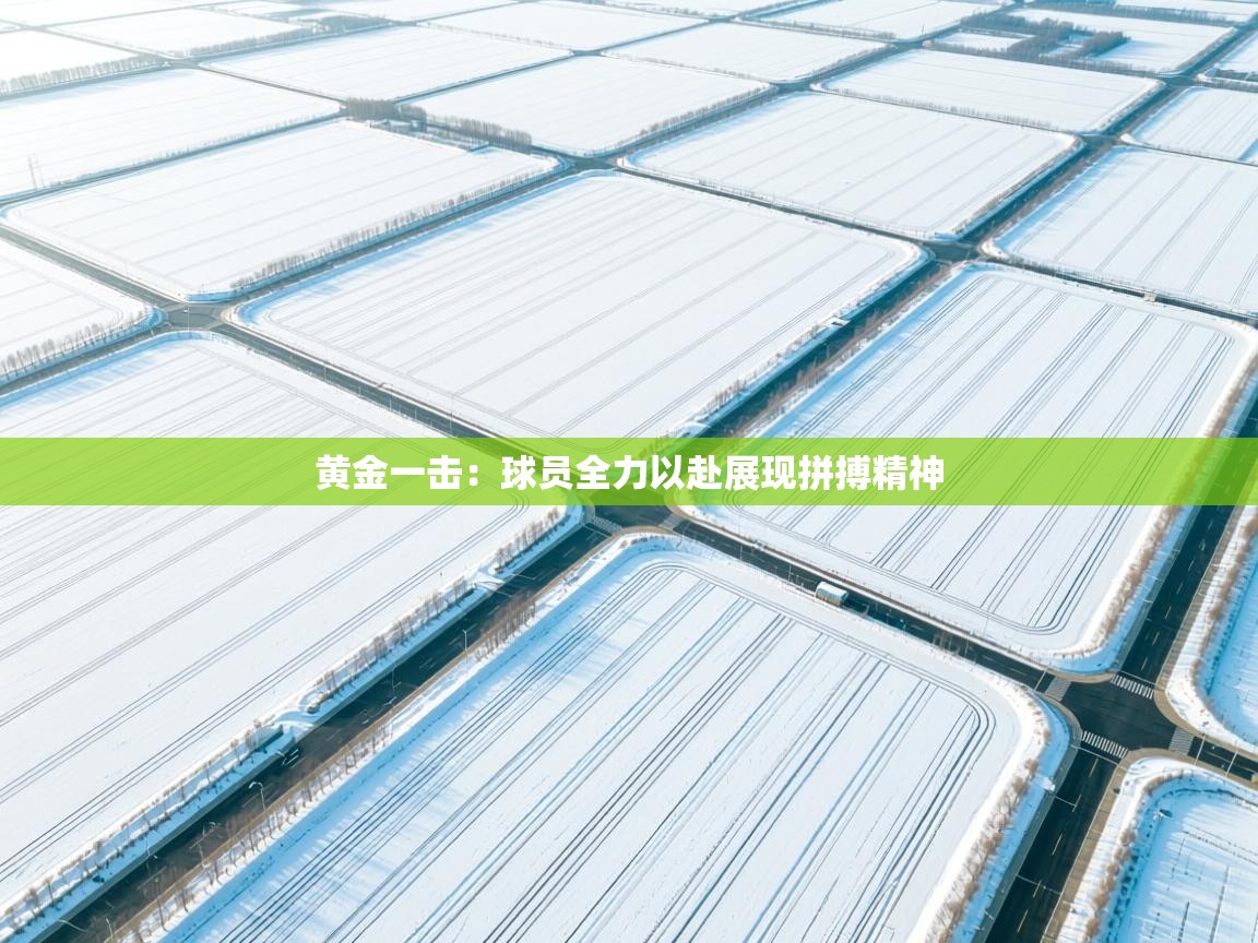 黄金一击:球员全力以赴展现拼搏精神 第1张