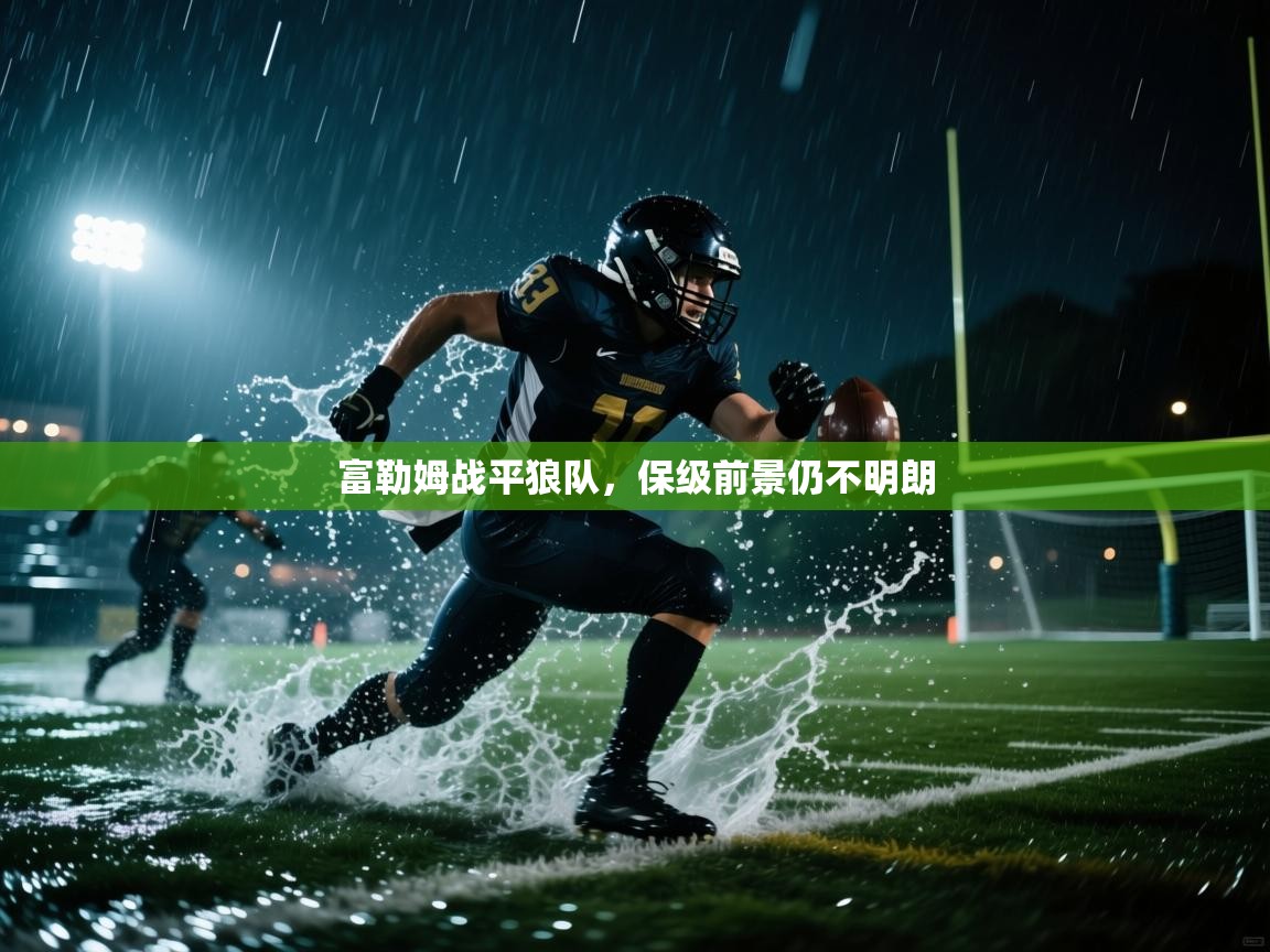 富勒姆战平狼队，保级前景仍不明朗  第2张