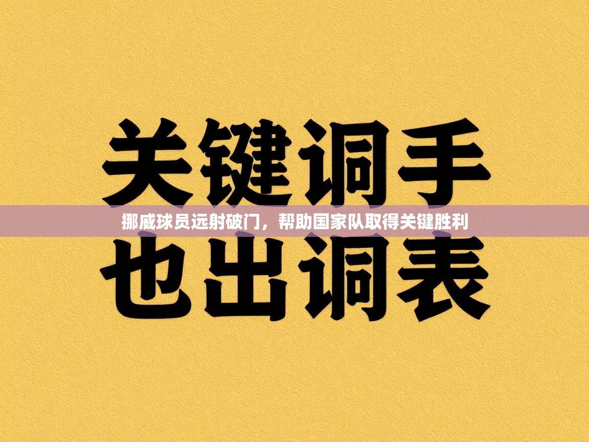 挪威球员远射破门，帮助国家队取得关键胜利  第1张