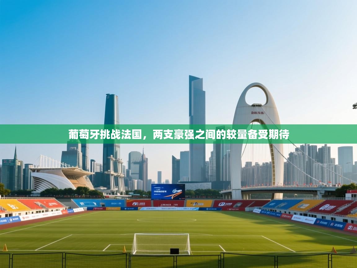 葡萄牙挑战法国，两支豪强之间的较量备受期待  第2张