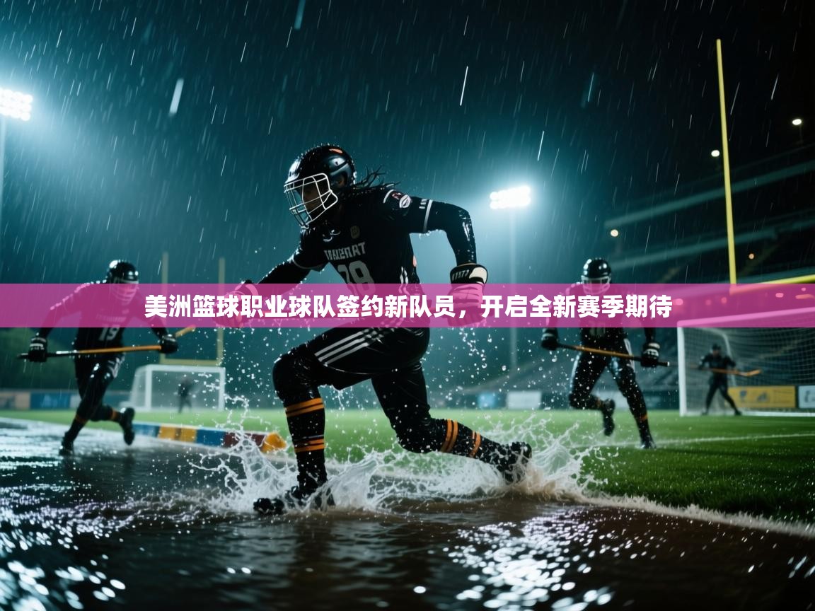 美洲篮球职业球队签约新队员，开启全新赛季期待  第1张