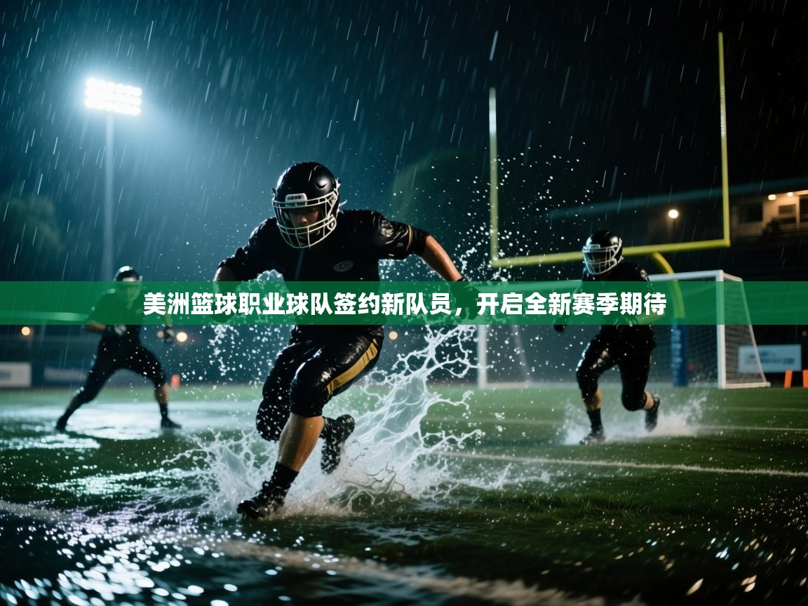 美洲篮球职业球队签约新队员，开启全新赛季期待  第2张