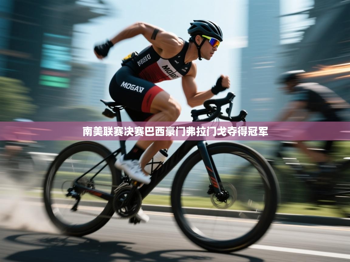 南美联赛决赛巴西豪门弗拉门戈夺得冠军 第2张