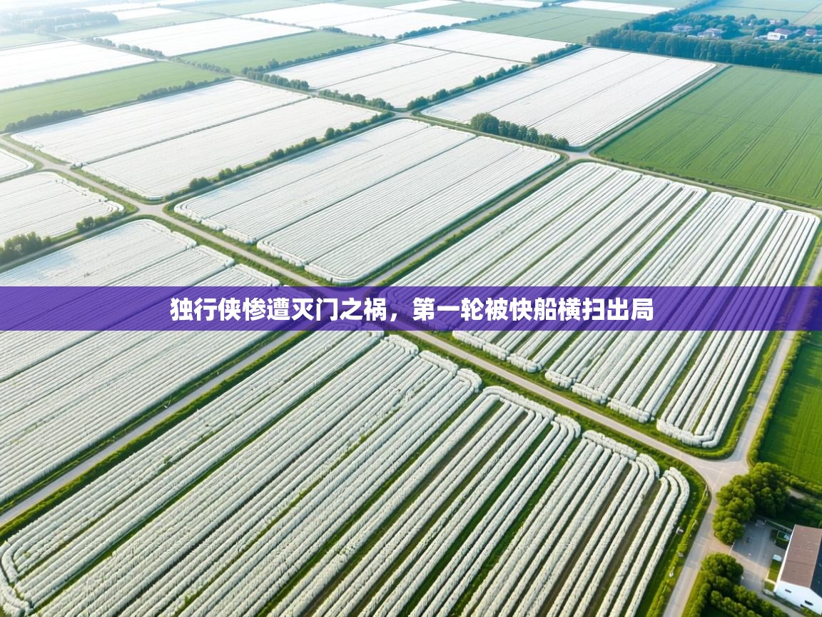 独行侠惨遭灭门之祸，第一轮被快船横扫出局  第2张